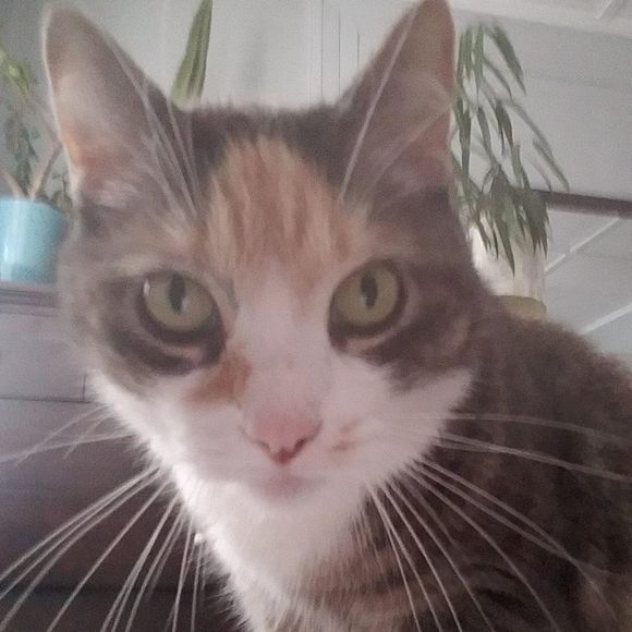 Meet your Posher, Wendy - Picture 1 of 1